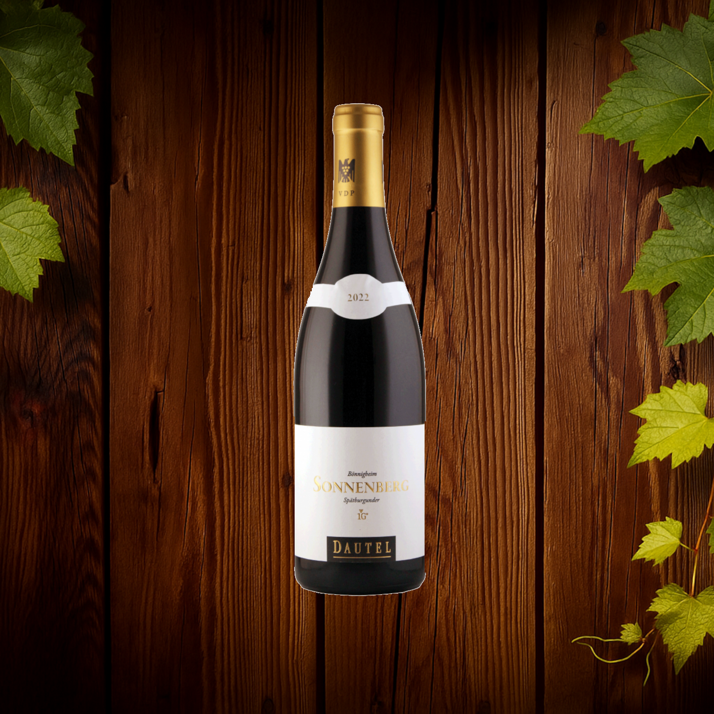 Bönnigheimer Sonnenberg Spätburgunder