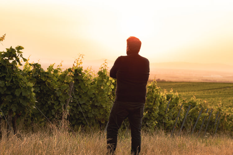 Weingut Markus Schneider