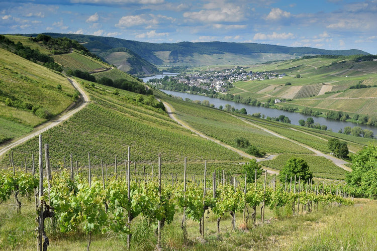 Weinregion Mosel