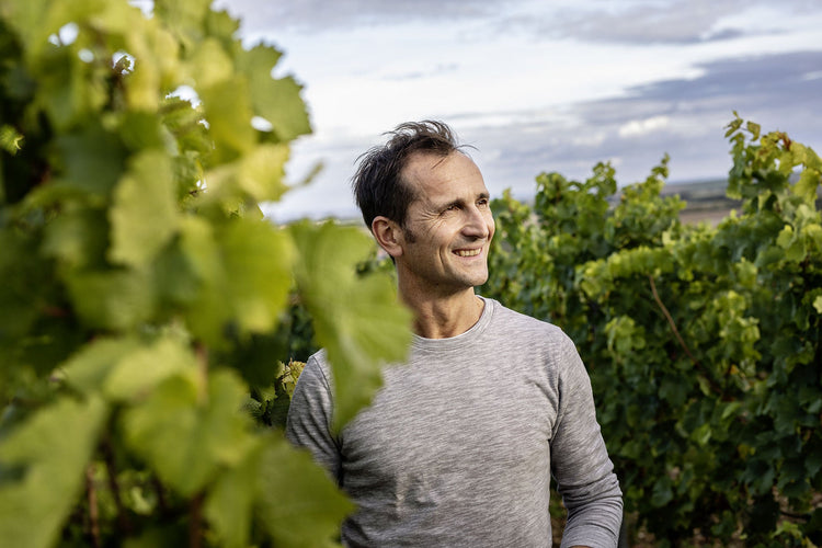 Weingut Matthias Gaul